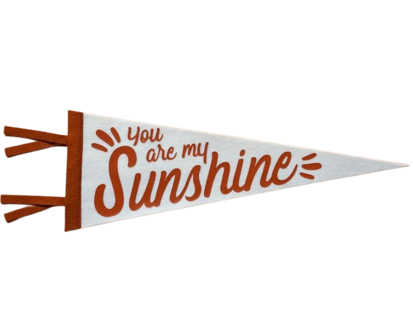 You Are My Sunshine Pennant